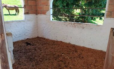 VENTA DE FINCA EN LA PINTADA SUROESTE ANTIOQUEÑO