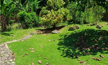 VENTA DE FINCA EN LA PINTADA SUROESTE ANTIOQUEÑO