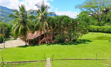 VENTA DE FINCA EN LA PINTADA SUROESTE ANTIOQUEÑO
