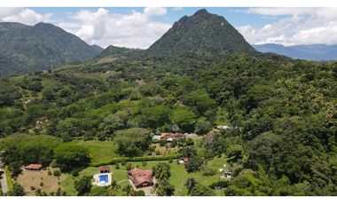 VENTA DE FINCA EN LA PINTADA SUROESTE ANTIOQUEÑO