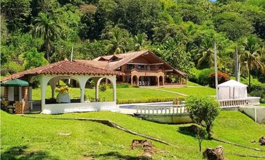 VENTA DE FINCA EN LA PINTADA SUROESTE ANTIOQUEÑO