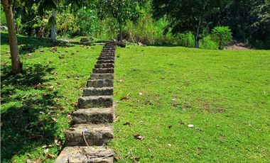 VENTA DE FINCA EN LA PINTADA SUROESTE ANTIOQUEÑO