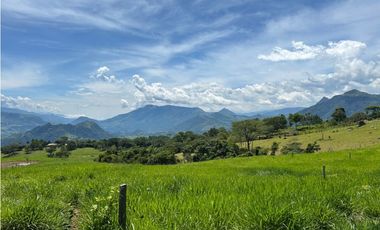 VENTA DE LOTE EN TARSO, SUROESTE ANTIOQUEÑO