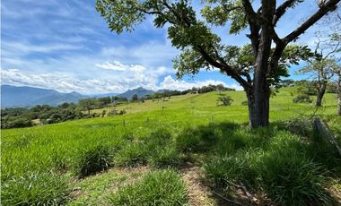 VENTA DE LOTE EN TARSO, SUROESTE ANTIOQUEÑO