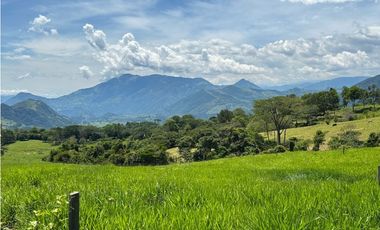 VENTA DE LOTE EN TARSO, SUROESTE ANTIOQUEÑO