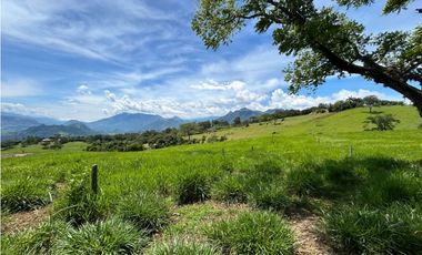 VENTA DE LOTE EN TARSO, SUROESTE ANTIOQUEÑO