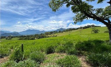 VENTA DE LOTE EN TARSO, SUROESTE ANTIOQUEÑO