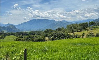 VENTA DE LOTE EN TARSO, SUROESTE ANTIOQUEÑO