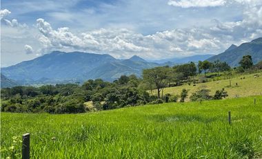 VENTA DE LOTE EN TARSO, SUROESTE ANTIOQUEÑO