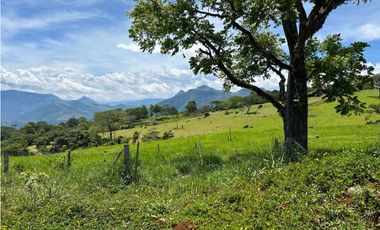 VENTA DE LOTE EN TARSO, SUROESTE ANTIOQUEÑO