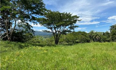 VENTA DE LOTE EN TARSO, SUROESTE ANTIOQUEÑO