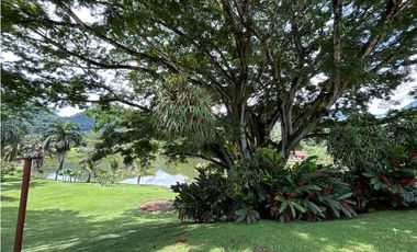 VENTA DE FINCA EN AMAGA SUROESTE ANTIOQUEÑO