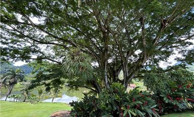 VENTA DE FINCA EN AMAGA SUROESTE ANTIOQUEÑO