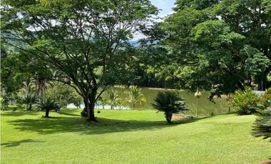 VENTA DE FINCA EN AMAGA SUROESTE ANTIOQUEÑO