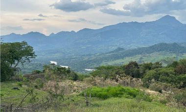 VENTA DE FINCA EN JERICO SUROESTE ANTIOQUEÑO
