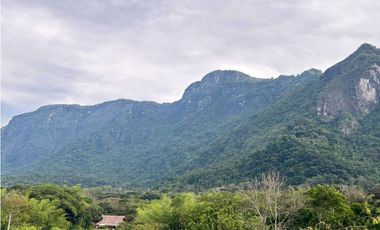 VENTA DE FINCA EN JERICO SUROESTE ANTIOQUEÑO