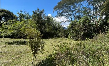 VENTA DE LOTE EN VENECIA SUROESTE ANTIOQUEÑO