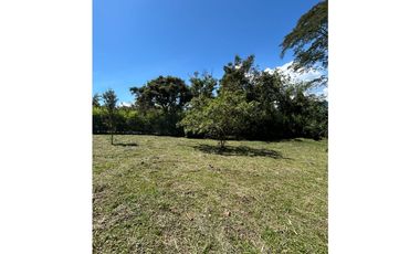 VENTA DE LOTE EN VENECIA SUROESTE ANTIOQUEÑO