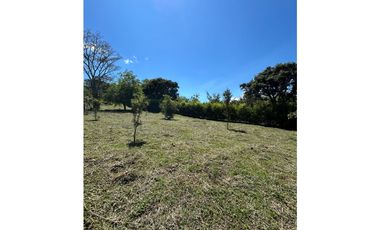 VENTA DE LOTE EN VENECIA SUROESTE ANTIOQUEÑO