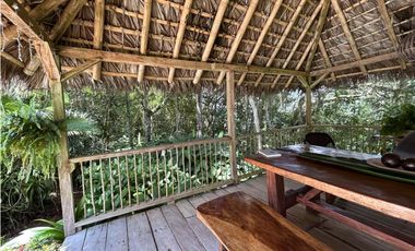 VENTA DE FINCA EN DAMASCO SUROESTE ANTIOQUEÑO