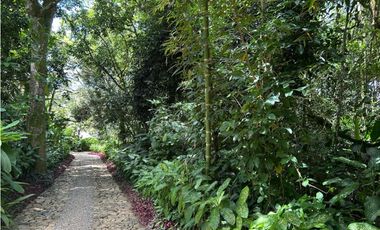 VENTA DE FINCA EN DAMASCO SUROESTE ANTIOQUEÑO