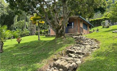 VENTA DE FINCA EN VENECIA SUROESTE DE ANTIOQUIA