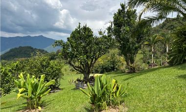 VENTA DE FINCA EN VENECIA SUROESTE DE ANTIOQUIA