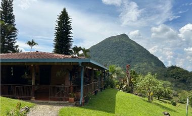 VENTA DE FINCA EN VENECIA SUROESTE DE ANTIOQUIA