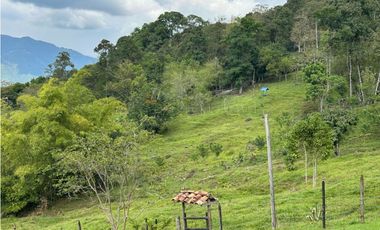 VENTA DE FINCA EN VENECIA SUROESTE DE ANTIOQUIA