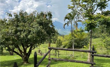 VENTA DE FINCA EN VENECIA SUROESTE DE ANTIOQUIA