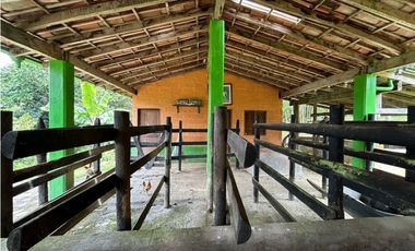 VENTA DE FINCA EN VENECIA SUROESTE DE ANTIOQUIA