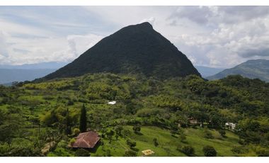VENTA DE FINCA EN VENECIA SUROESTE DE ANTIOQUIA