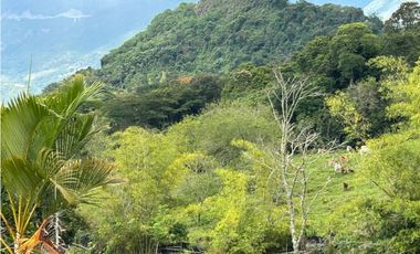 VENTA DE FINCA EN VENECIA SUROESTE DE ANTIOQUIA