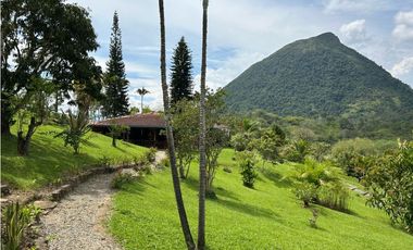 VENTA DE FINCA EN VENECIA SUROESTE DE ANTIOQUIA