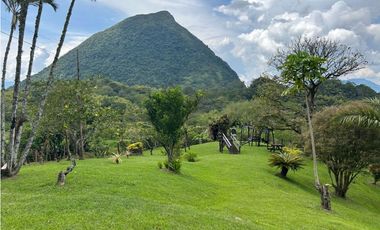 VENTA DE FINCA EN VENECIA SUROESTE DE ANTIOQUIA