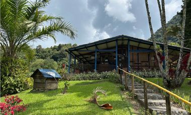 VENTA DE FINCA EN VENECIA SUROESTE DE ANTIOQUIA