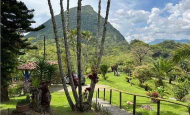 VENTA DE FINCA EN VENECIA SUROESTE DE ANTIOQUIA