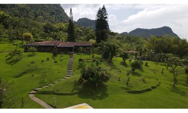 VENTA DE FINCA EN VENECIA SUROESTE DE ANTIOQUIA