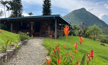 VENTA DE FINCA EN VENECIA SUROESTE DE ANTIOQUIA