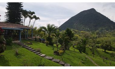 VENTA DE FINCA EN VENECIA SUROESTE DE ANTIOQUIA