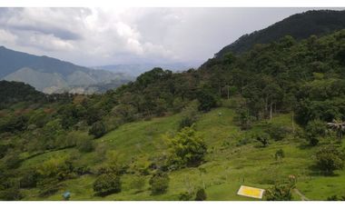 VENTA DE FINCA EN VENECIA SUROESTE DE ANTIOQUIA