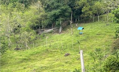 VENTA DE FINCA EN VENECIA SUROESTE DE ANTIOQUIA