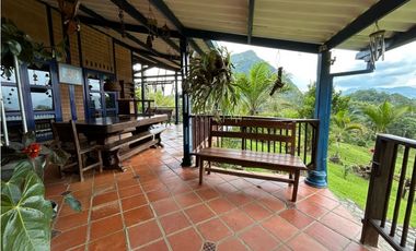 VENTA DE FINCA EN VENECIA SUROESTE DE ANTIOQUIA