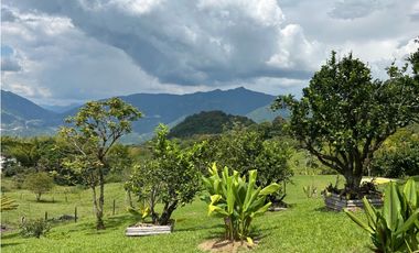 VENTA DE FINCA EN VENECIA SUROESTE DE ANTIOQUIA