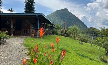 VENTA DE FINCA EN VENECIA SUROESTE DE ANTIOQUIA