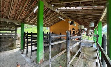 VENTA DE FINCA EN VENECIA SUROESTE DE ANTIOQUIA