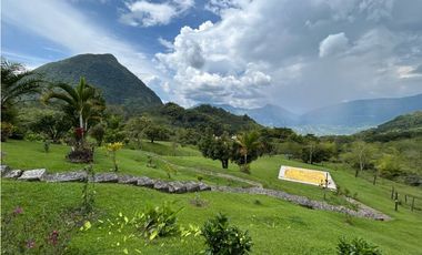 VENTA DE FINCA EN VENECIA SUROESTE DE ANTIOQUIA