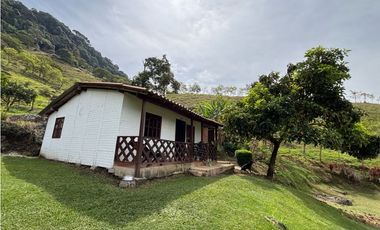 VENTA DE FINCA EN MARSELLA SUROESTE DE ANTIOQUA