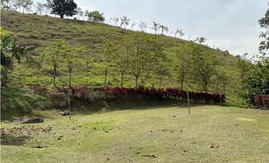VENTA DE FINCA EN MARSELLA SUROESTE DE ANTIOQUA
