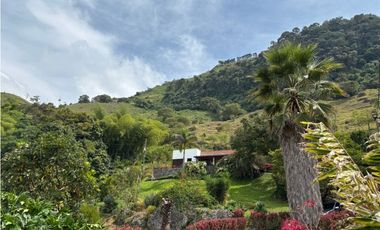 VENTA DE FINCA EN MARSELLA SUROESTE DE ANTIOQUA